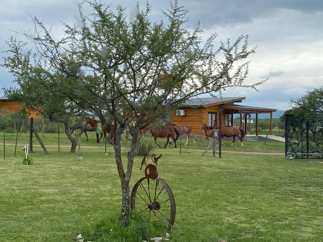 Casa de Aromas Serranos rodeada de verde y caballos